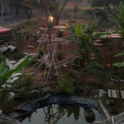 chi-hai-feature Chị Hai