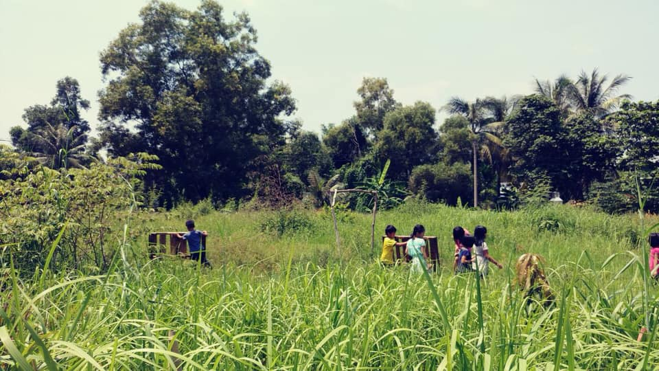 Trường Lá Steiner