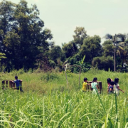 truong-la-feature Trường Lá Steiner