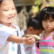 Bắt cá bằng nơm này Bắt cá bằng nơm này