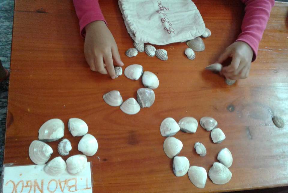 Chơi đếm số bằng vỏ sò