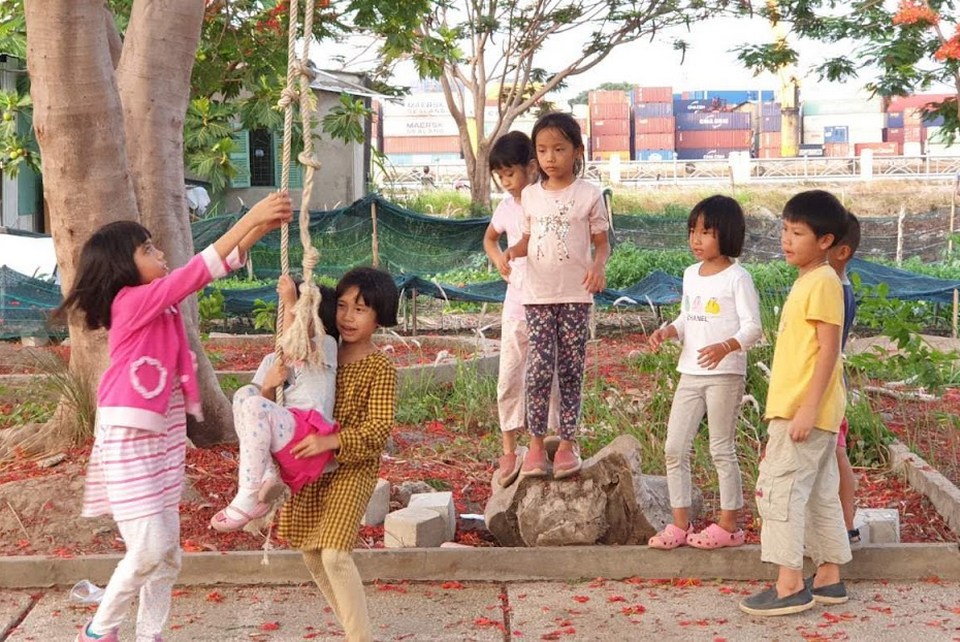 Chơi dưới hàng cây phượng đỏ rực ấy là cả một bầu trời tuổi thơ