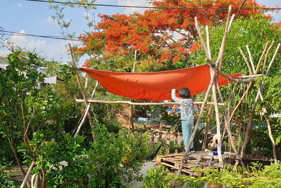Một góc sân trường xanh mướt nhìn sang cây phượng đỏ rực chào hè