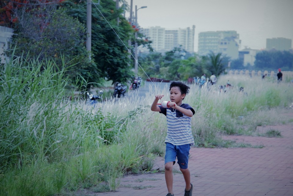 Thả diều vào một ngày lộng gió