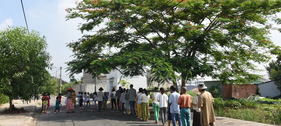Dưới gốc bác Phượng già chúng cháu ngồi nương tựa vào nhau