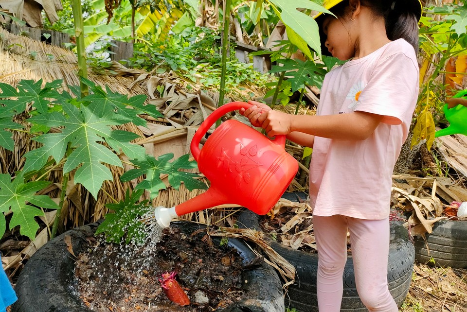 Tưới cây là tưới cây nào