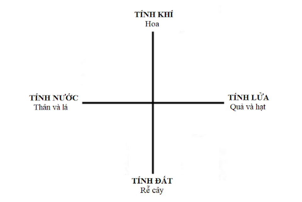 Bốn khí chất và các bộ phận tương ứng ở thực vật